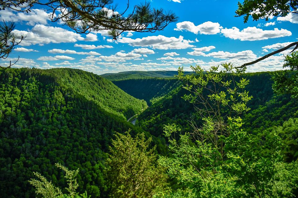Barbour Rock Trail